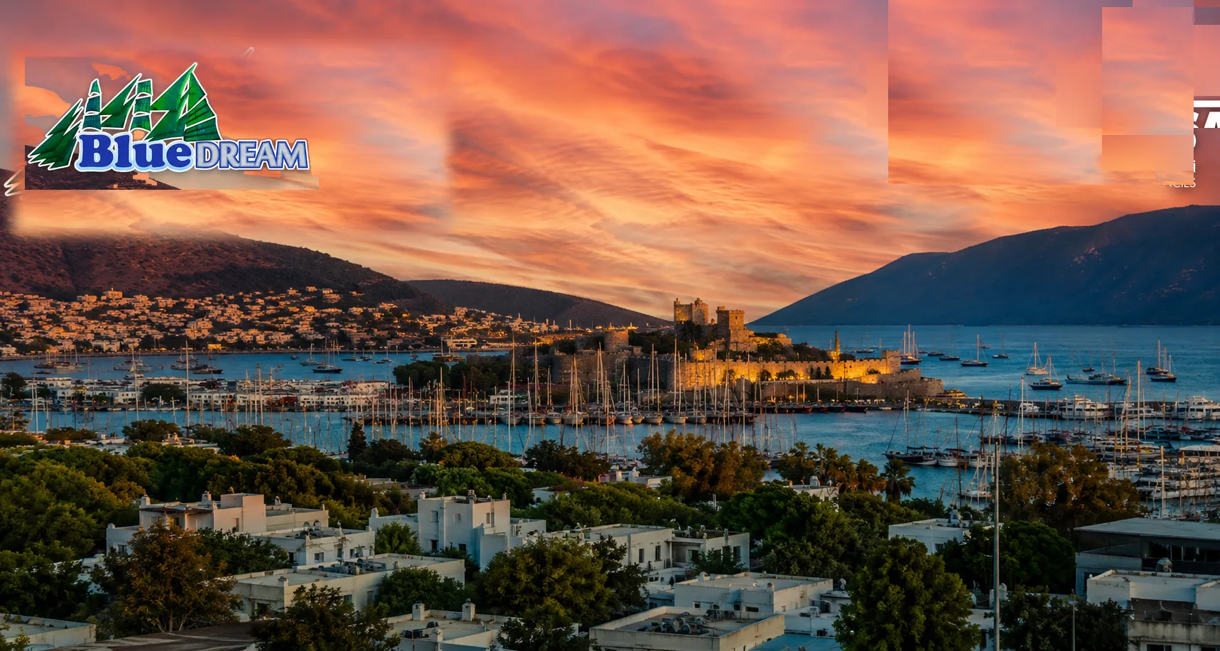 Blue Dream Tour Bodrum Header
