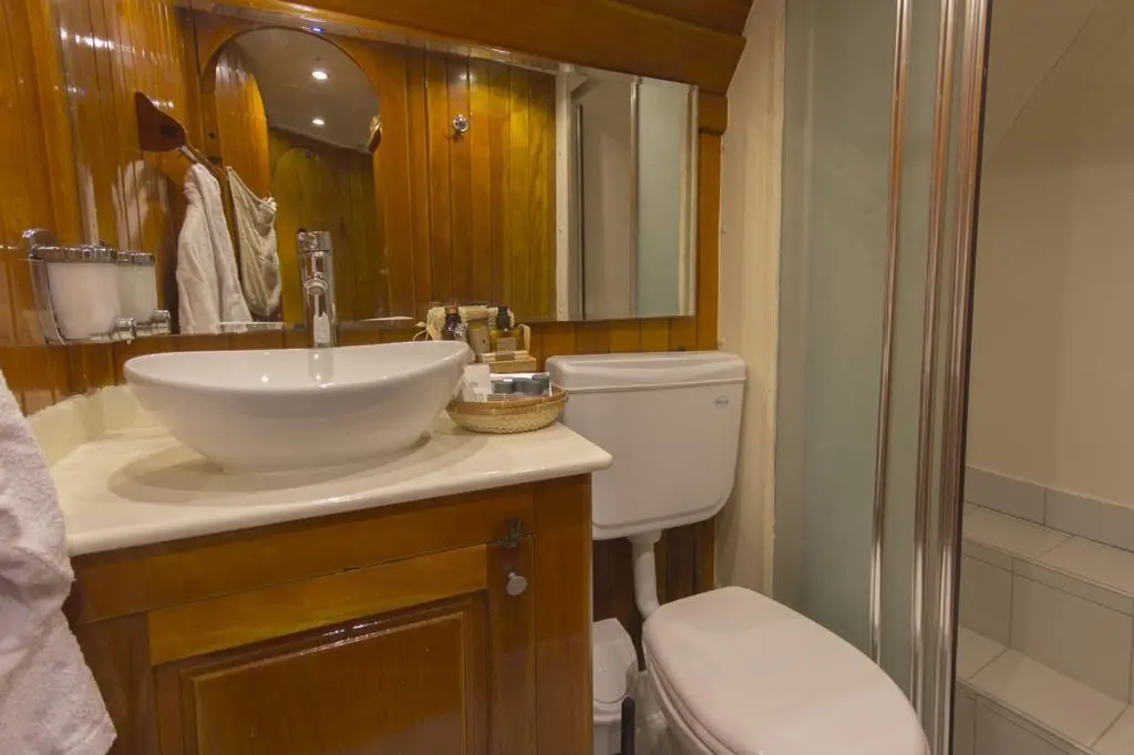 Karyalı banyo